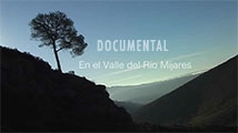 Documental